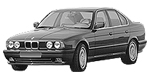 BMW E34 P1D66 Fault Code